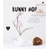 Buch Bunny Hop
